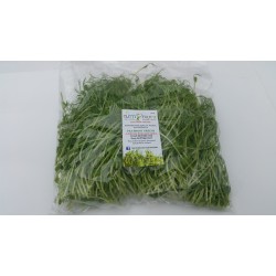 pea-shoots-tendrils-greens-microgreens
